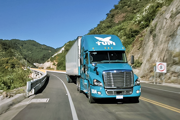Importación y Exportación